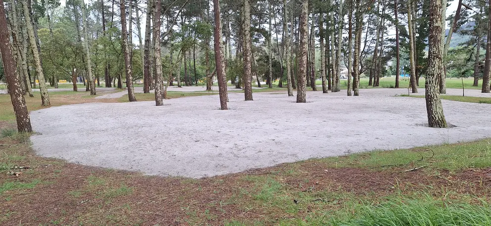Pi&ntilde;eiral da Madalena