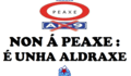 O BNG organiza un acto contra a peaxe da AP9