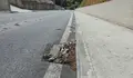 PP e AEC bloquean as propostas do BNG para dar unha solución definitiva aos problemas da estrada do Barreiro