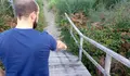 O BNG insta a Patrimonio a arranxar unha ponte a piques de colapsar no Camiño Inglés