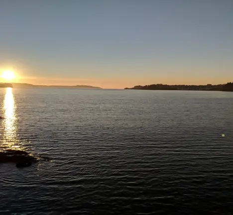 IMG-20171119-WA0001